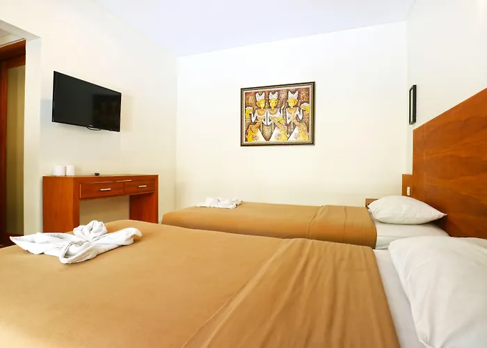 Hotel Gora 2*